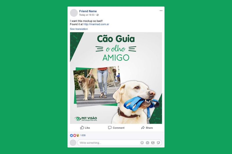 Post Pet Visão