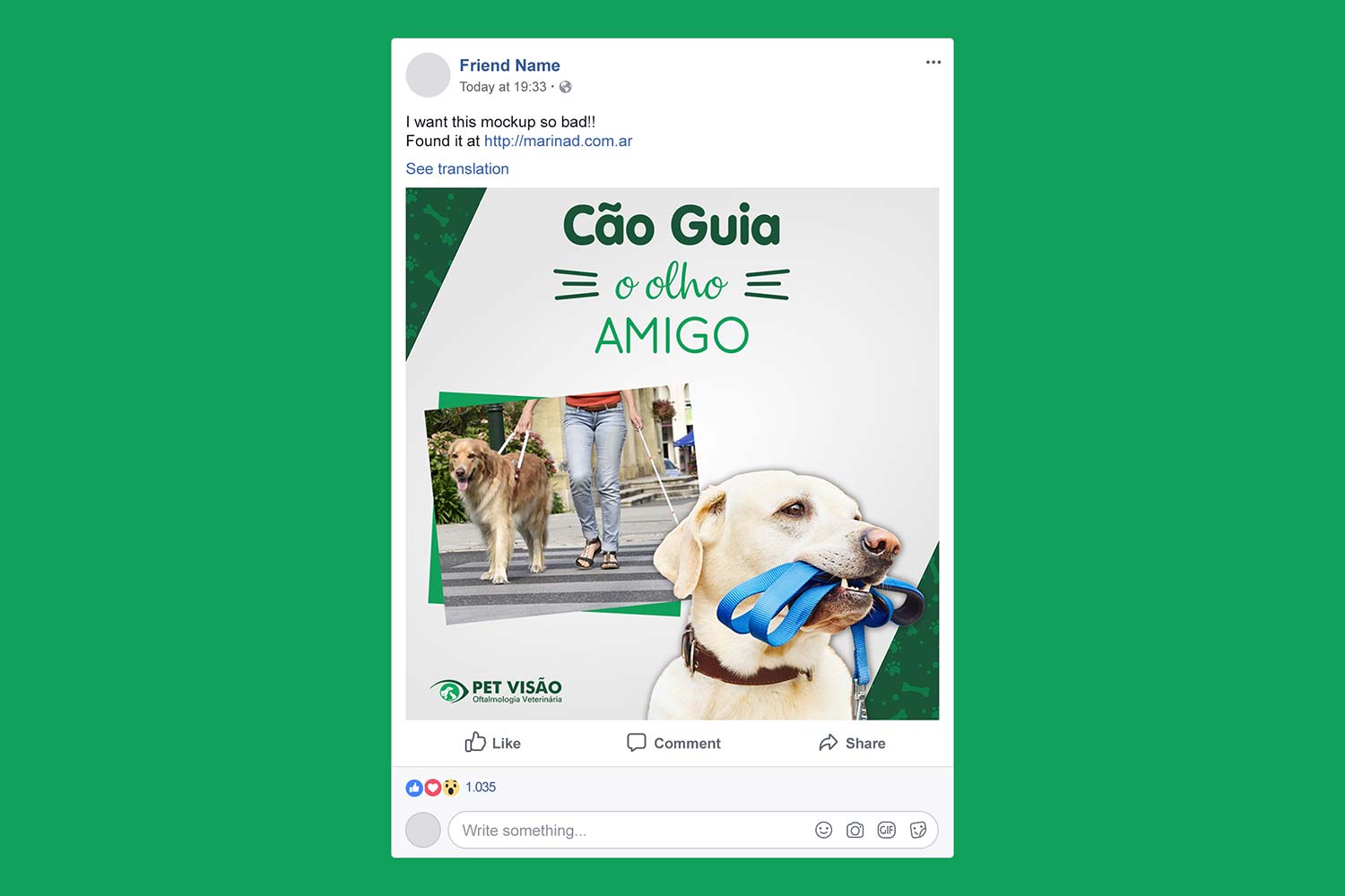 Post Pet Visão