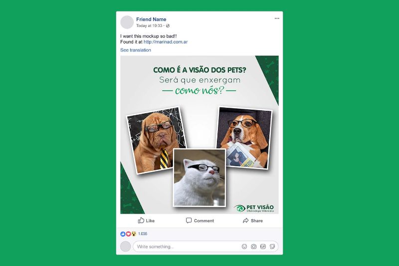 Post Pet Visão