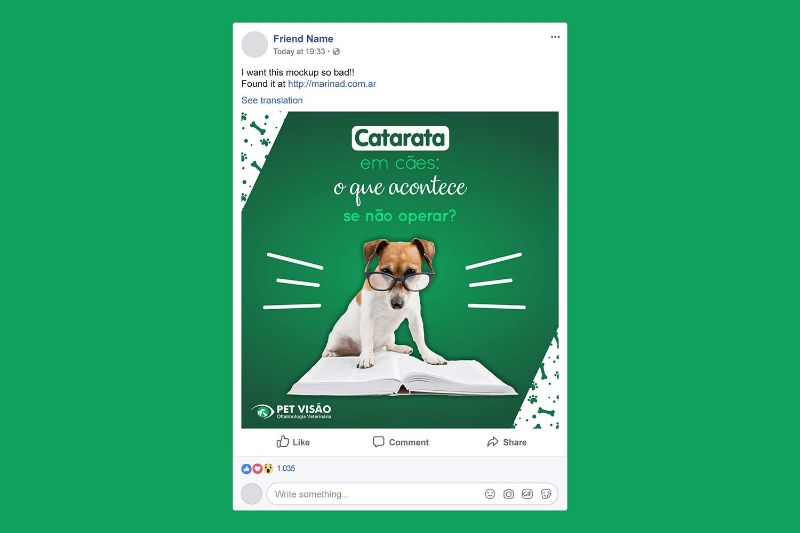 Post Pet Visão