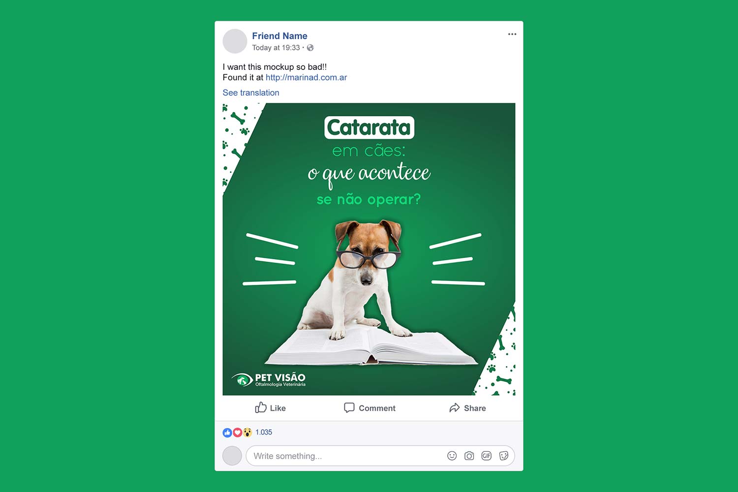 Criação de post para Pet Shop Visão