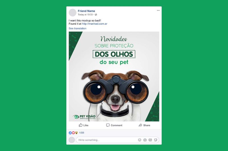 Post Pet Visão